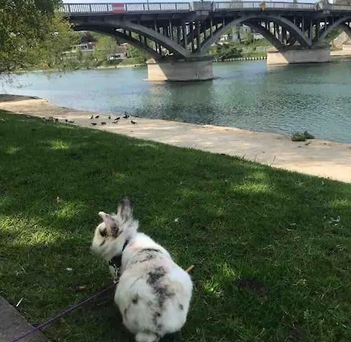 Bords De Marne Appartement *